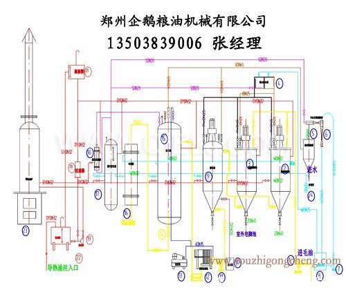 牡丹籽油榨油精（jīng）煉生產線（xiàn）(圖3)