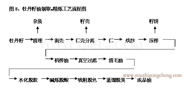 牡丹籽（zǐ）油榨油精煉生產線(圖4)